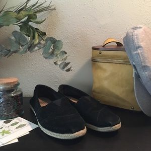 Women’s suede Toms